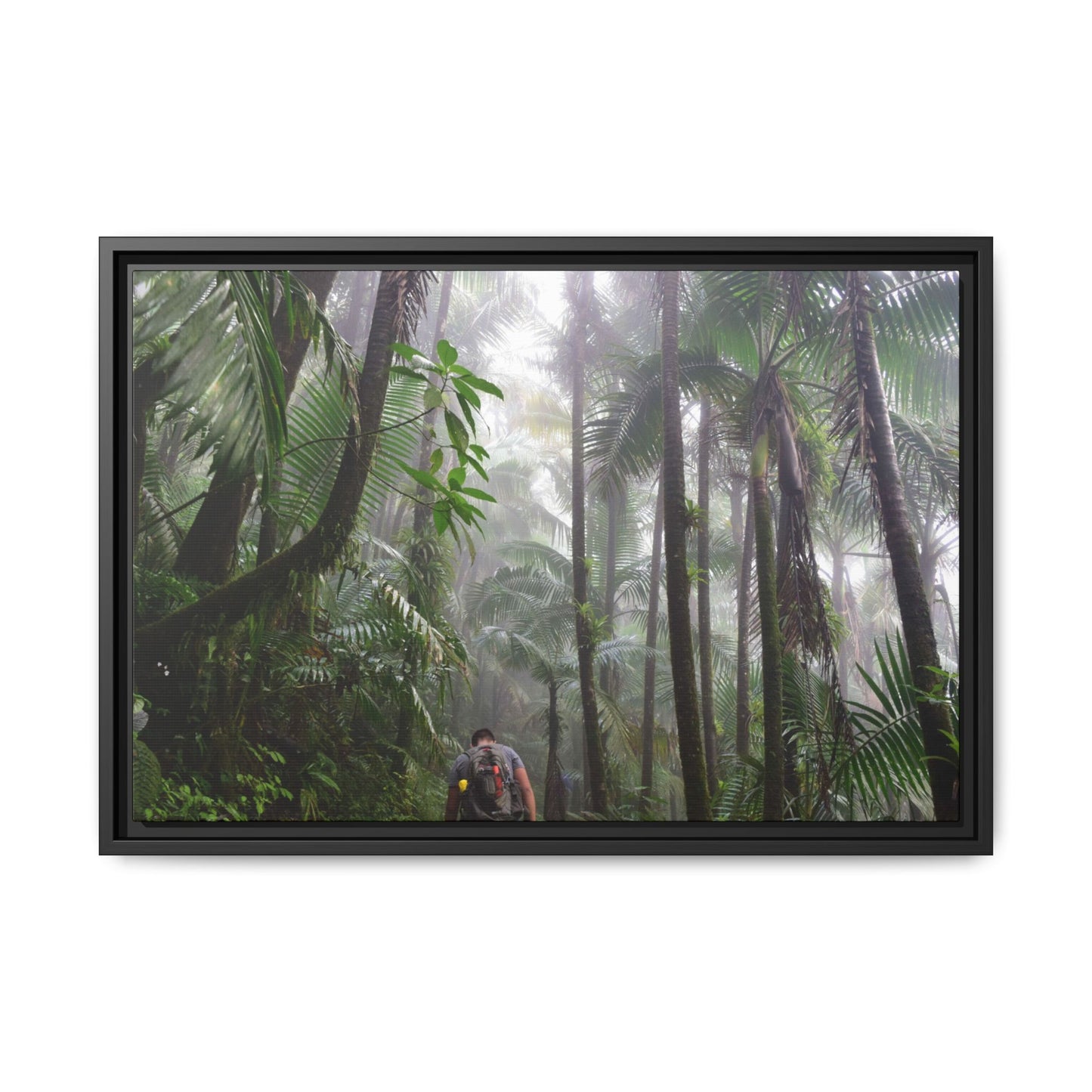 Tropical Vista Matte Canvas Framed Wall Art - Forest explorations - My son Jose is tired on El Yunque High-Forest (in the clouds) trail -  El Yunque rainforest PR
