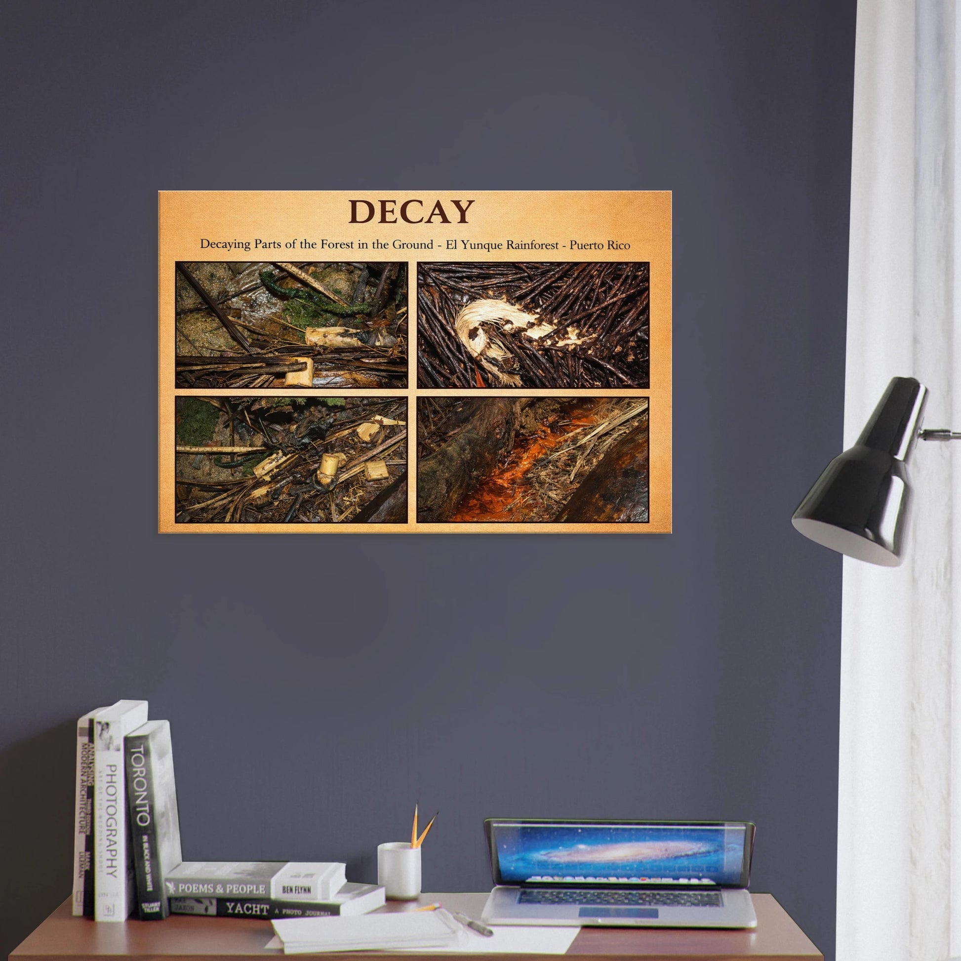 759379fb-a94c-423a-b324-844d40849e2b