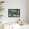 Tropical Vista Matte Canvas Framed Wall Art - Forest explorations - Deep in Sabana River Unusual Tree formations ??? -  El Yunque rainforest PR
