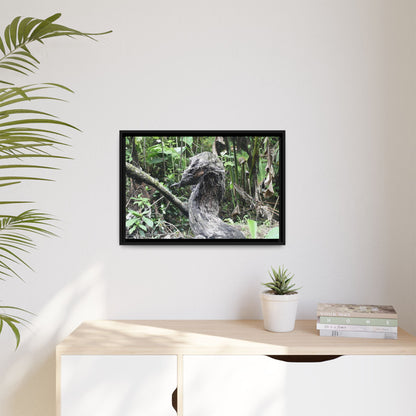 Tropical Vista Matte Canvas Framed Wall Art - Forest explorations - Deep in Sabana River Unusual Tree formations ??? -  El Yunque rainforest PR