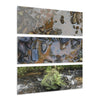 Deep Forest Explorations - Pristine Rio Sabana Nature Art - El Yunque RainForest  - Nikon D850 - Tropical Rivers Triptych Acrylic Print – Panoramic Jungle Wall Aert