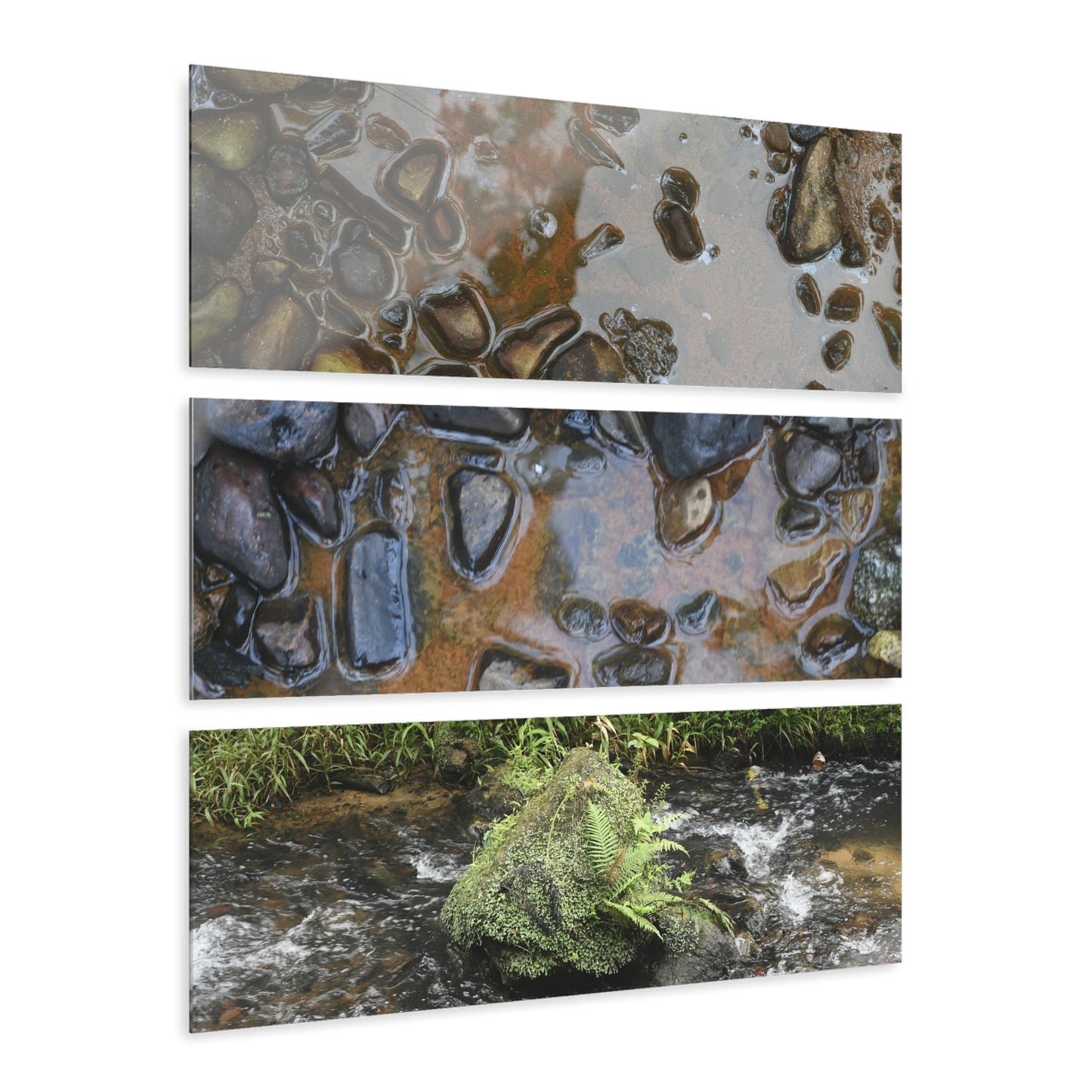 Deep Forest Explorations - Pristine Rio Sabana Nature Art - El Yunque RainForest  - Nikon D850 - Tropical Rivers Triptych Acrylic Print – Panoramic Jungle Wall Aert