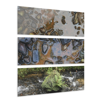 Deep Forest Explorations - Pristine Rio Sabana Nature Art - El Yunque RainForest  - Nikon D850 - Tropical Rivers Triptych Acrylic Print – Panoramic Jungle Wall Aert