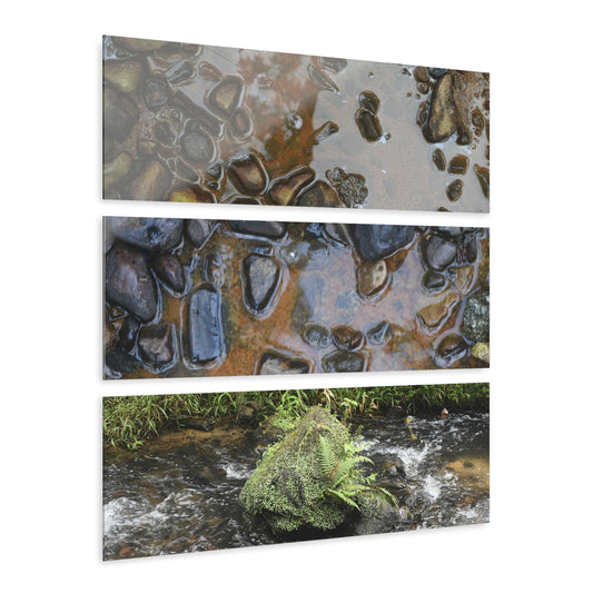 Deep Forest Explorations - Pristine Rio Sabana Nature Art - El Yunque RainForest  - Nikon D850 - Tropical Rivers Triptych Acrylic Print – Panoramic Jungle Wall Aert