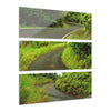 Roads of  El Yunque RainForest - Main PR 191 and road to El Yunque - Nikon D850 - Tropical Rivers Triptych Acrylic Print – Panoramic Jungle Wall Aert