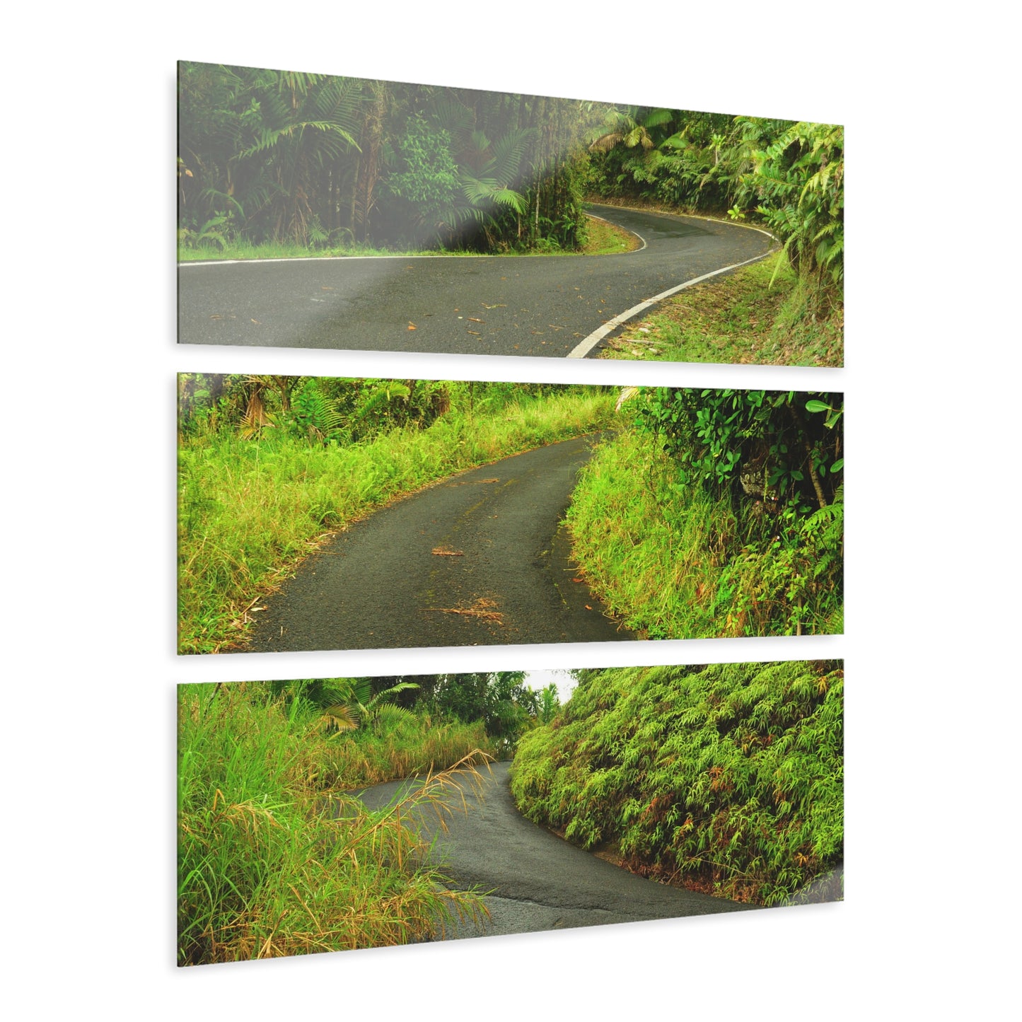Roads of  El Yunque RainForest - Main PR 191 and road to El Yunque - Nikon D850 - Tropical Rivers Triptych Acrylic Print – Panoramic Jungle Wall Aert