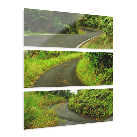 Roads of  El Yunque RainForest - Main PR 191 and road to El Yunque - Nikon D850 - Tropical Rivers Triptych Acrylic Print – Panoramic Jungle Wall Aert