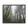 Tropical Vista Matte Canvas Framed Wall Art - Forest explorations - My son Jose is tired on El Yunque High-Forest (in the clouds) trail -  El Yunque rainforest PR
