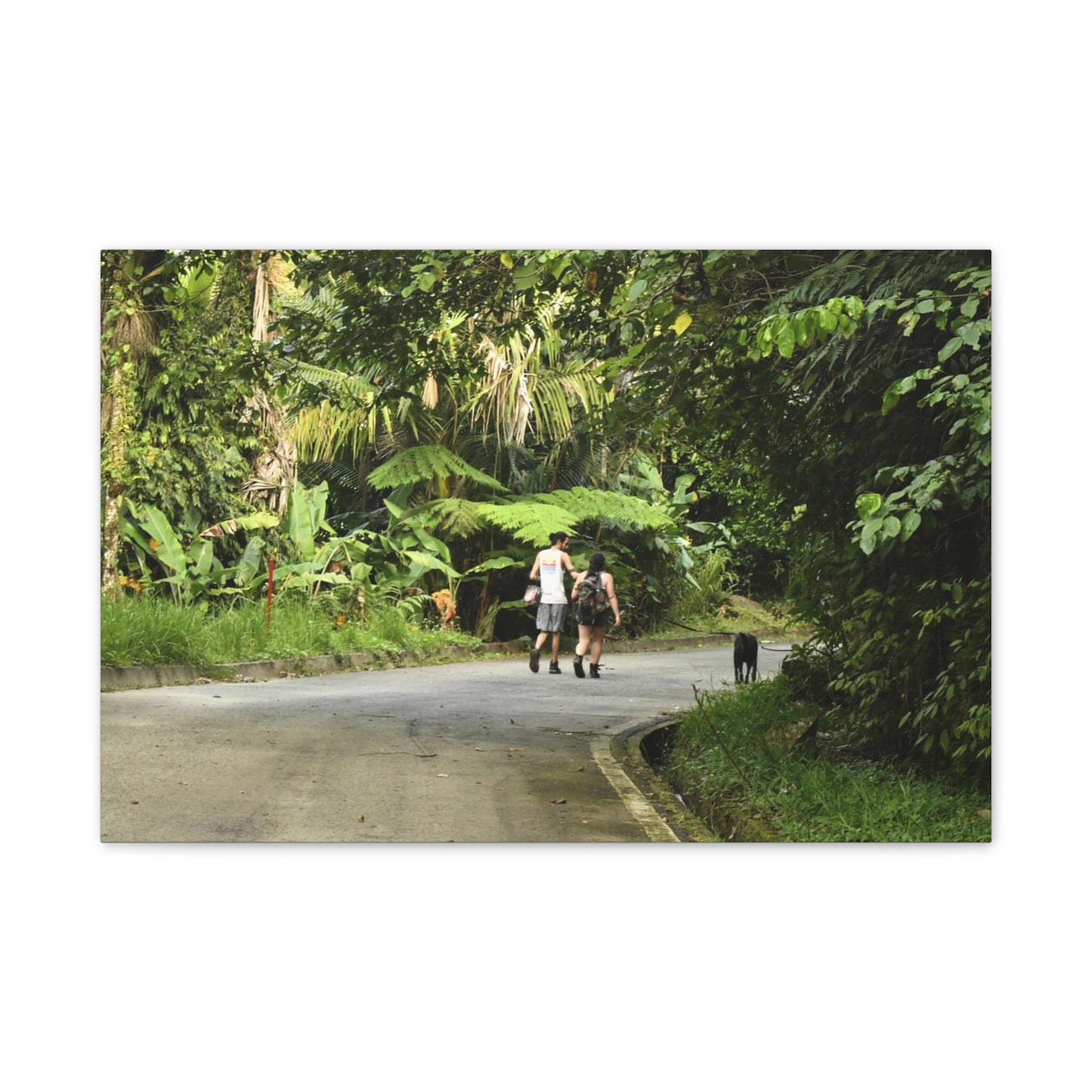 Tropical Road Walk Canvas — Couple with cat and dog in El Yunque - Scenic Nature Wall Art