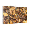 Autumn Leaf Floor Canvas Print — Deep Forest Explorations - El Yunque - Nikon D850 Stretched Wall Art (0.75")