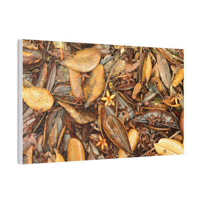 Autumn Leaf Floor Canvas Print — Deep Forest Explorations - El Yunque - Nikon D850 Stretched Wall Art (0.75")