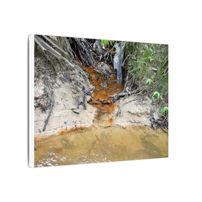 Rust-Tinged Creek Canvas Print — Natural Stream Landscape Wall Art - Tributary with decomposing matter orange color -  Deep forest explorations