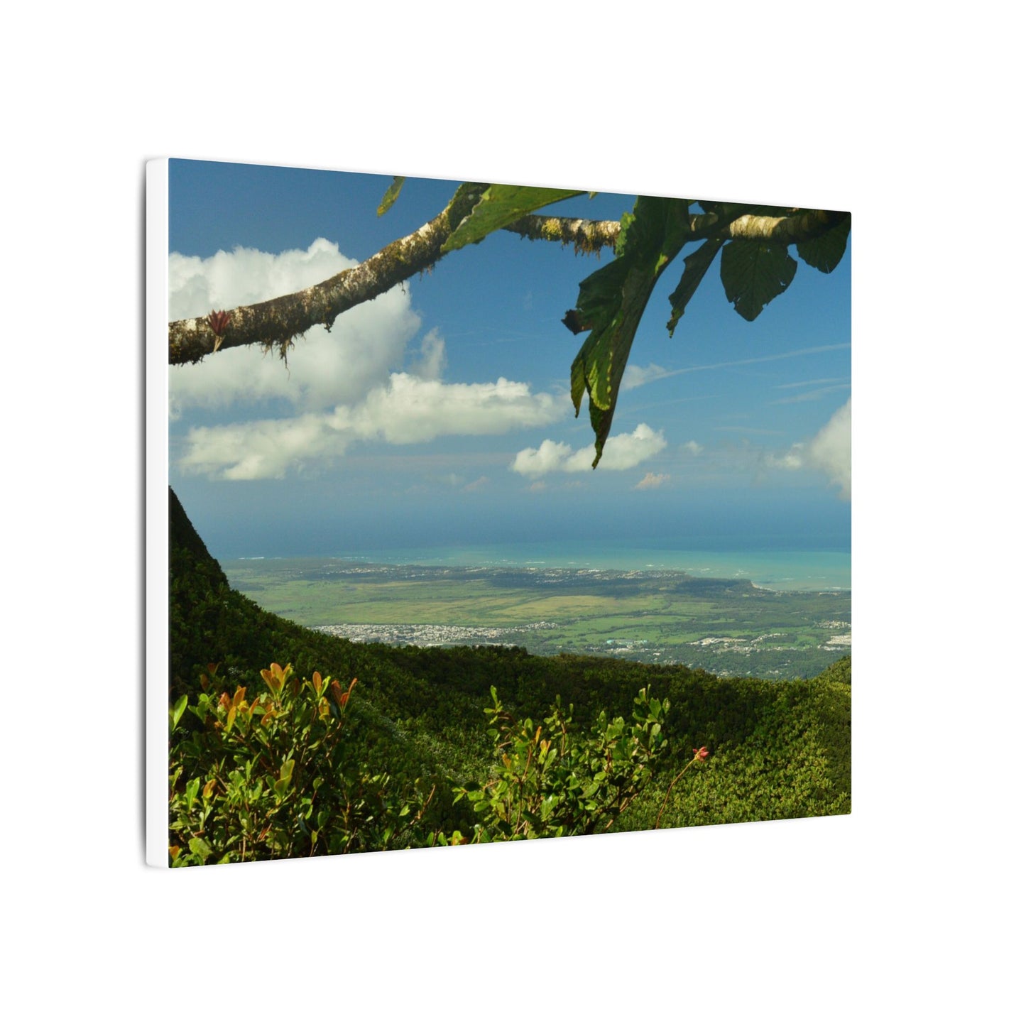 Tropical Coastal View Matte Canvas Wall Art – Scenic Island Landscape Print