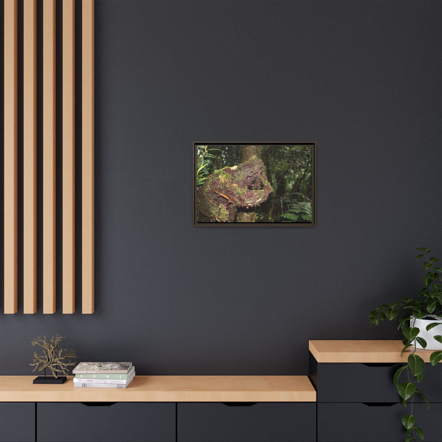 Framed Matte Canvas Wall Art — Tropical Rainforest Roots Photography - Not a nice image - a slowly decomposing red Tree (very hard wood) in Tradewinds trail
