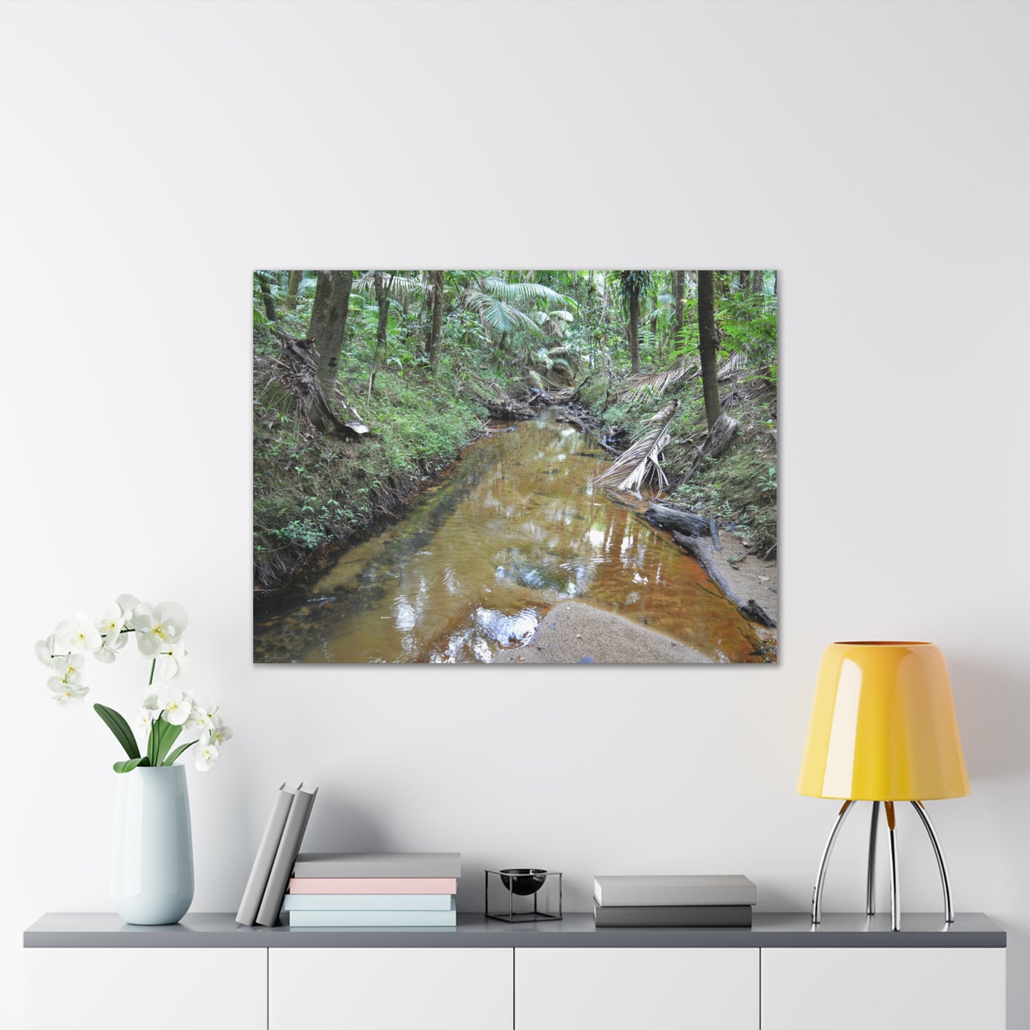Deep Forest Explorations - El Yunque Holy Spirit River - Nikon D850 - Forest Creek Canvas Print - Stretched 0.75" Nature Wall Art