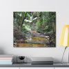 Deep Forest Explorations - El Yunque Holy Spirit River - Nikon D850 - Tropical Creek Canvas Print —  Jungle Stream Wall Art for Nature Lovers