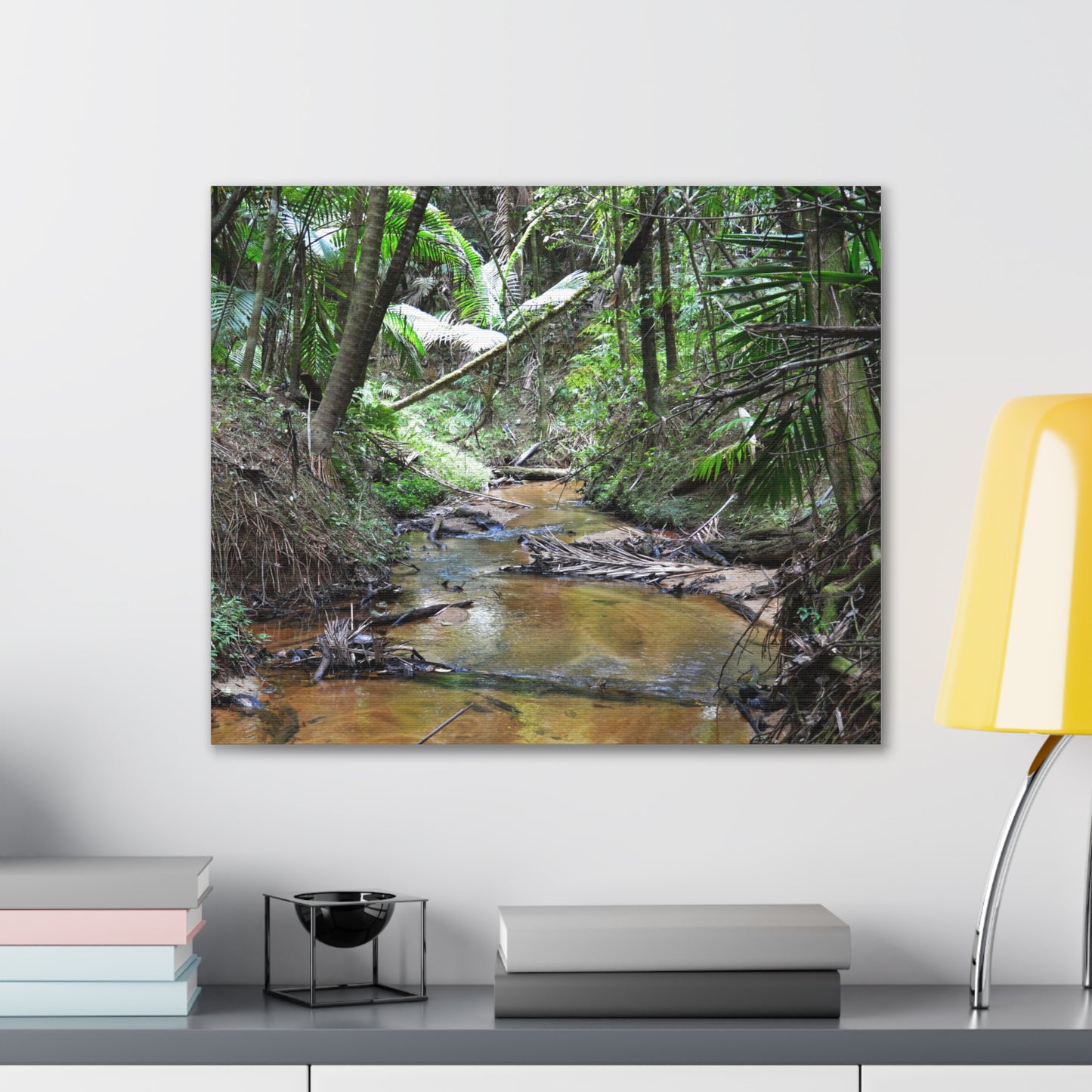 Deep Forest Explorations - El Yunque Holy Spirit River - Nikon D850 - Tropical Creek Canvas Print —  Jungle Stream Wall Art for Nature Lovers