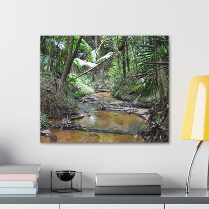 Deep Forest Explorations - El Yunque Holy Spirit River - Nikon D850 - Tropical Creek Canvas Print —  Jungle Stream Wall Art for Nature Lovers