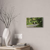 Tropical Road Walk Canvas — Couple with cat and dog in El Yunque - Scenic Nature Wall Art