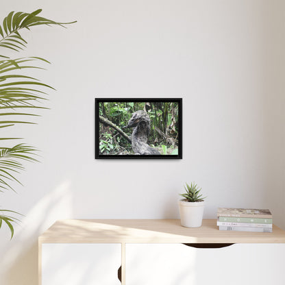 Tropical Vista Matte Canvas Framed Wall Art - Forest explorations - Deep in Sabana River Unusual Tree formations ??? -  El Yunque rainforest PR