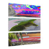 Remote Mona Island Art - Beaches of Playa Pajaros - Color Enhanced Caves - Nikon D850 - Triptych Acrylic Print – Marvel Islands of Puerto Rico