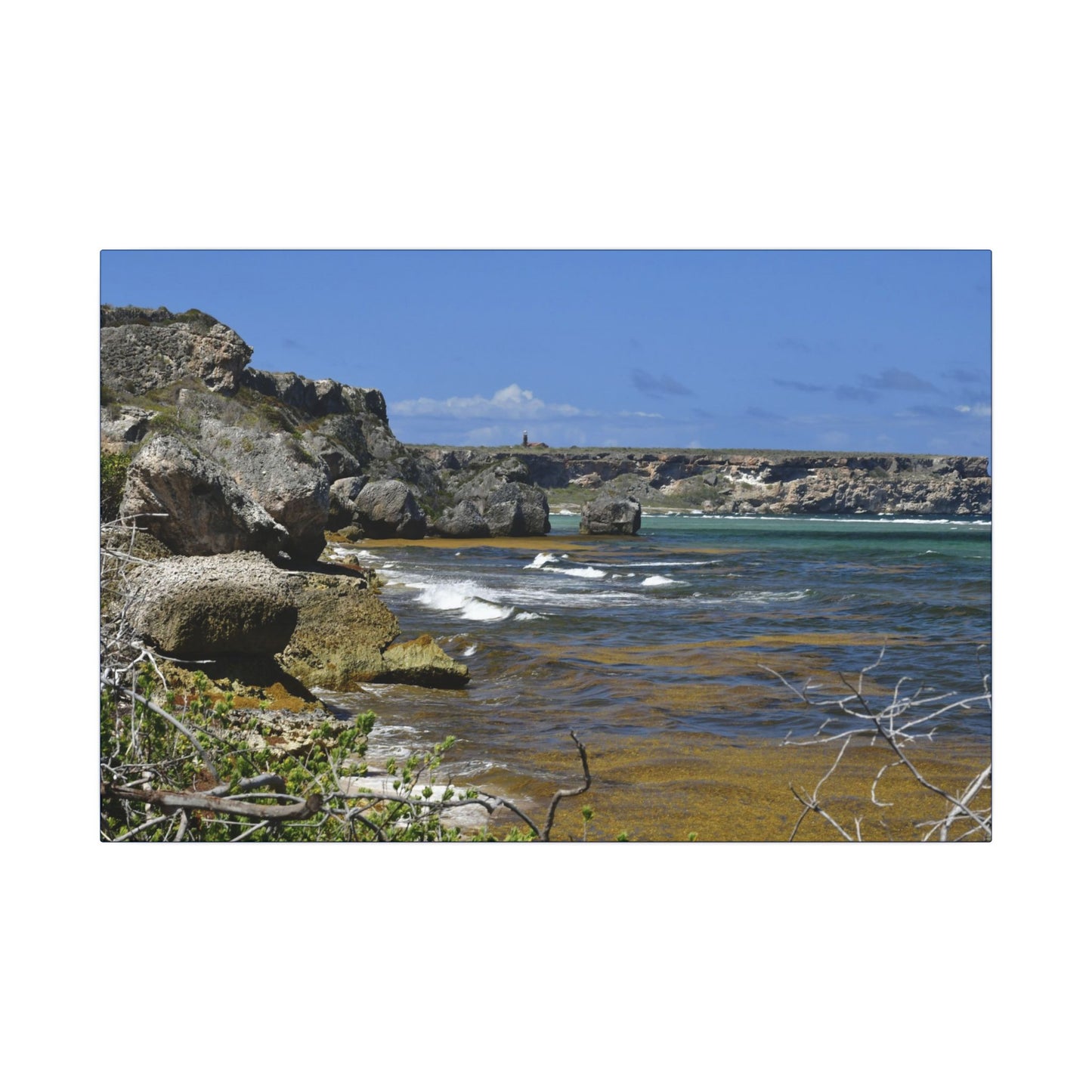 Coastal Cliff Seascape Canvas Print - Mona Island - 40 miles from Puerto Rico - Pristine & isolated