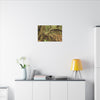 Complex of Tree Roots Canvas Wall Art — Woodland Forest Photography - In Tradewinds trail CLOUD FOREST - Trees have these roots to survive hurricanes