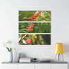 Deep Forest Explorations - Bromeliad and rare El Yunque Flowers - Nikon D850 -  Triptych Acrylic Print