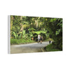 Tropical Road Walk Canvas — Couple with cat and dog in El Yunque - Scenic Nature Wall Art
