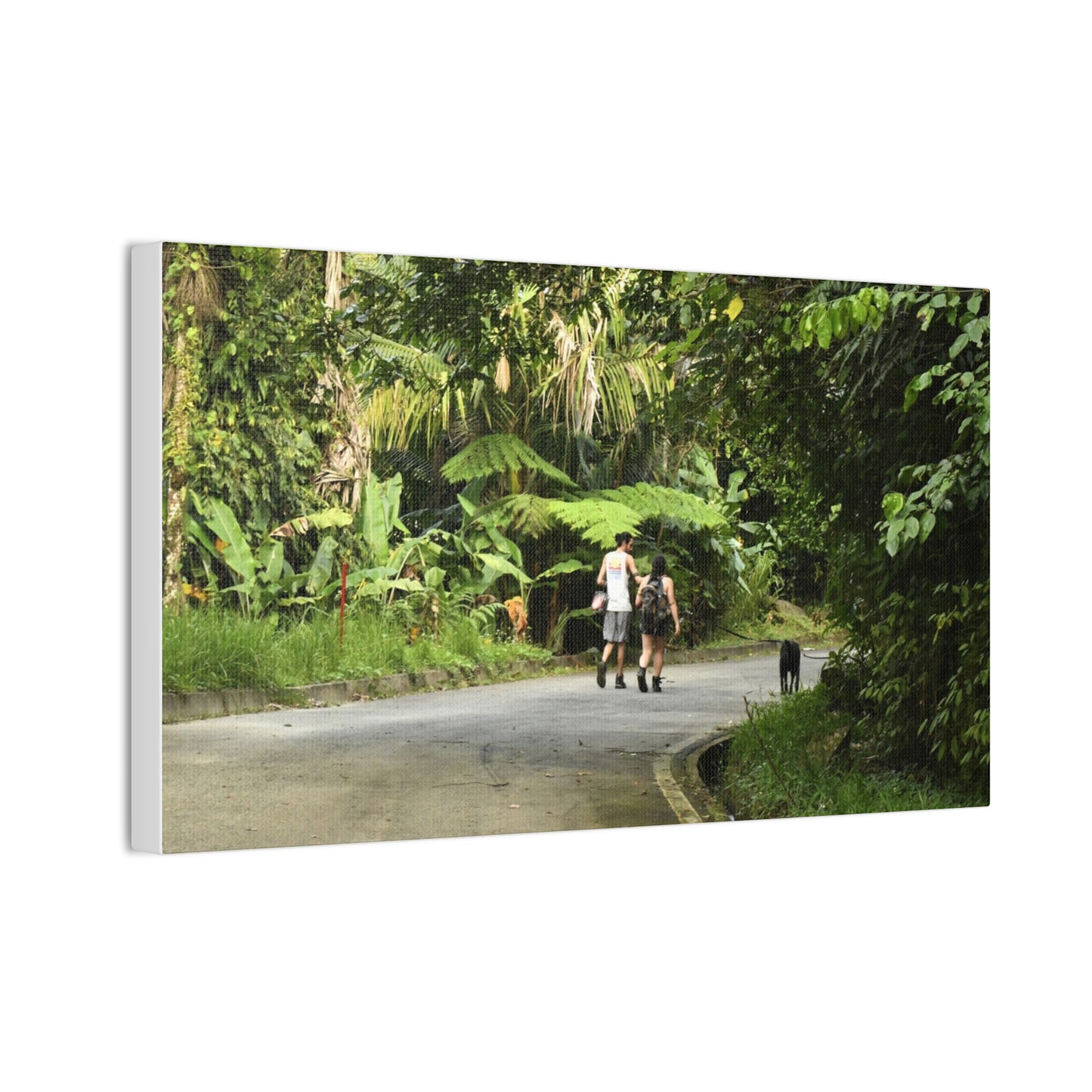Tropical Road Walk Canvas — Couple with cat and dog in El Yunque - Scenic Nature Wall Art