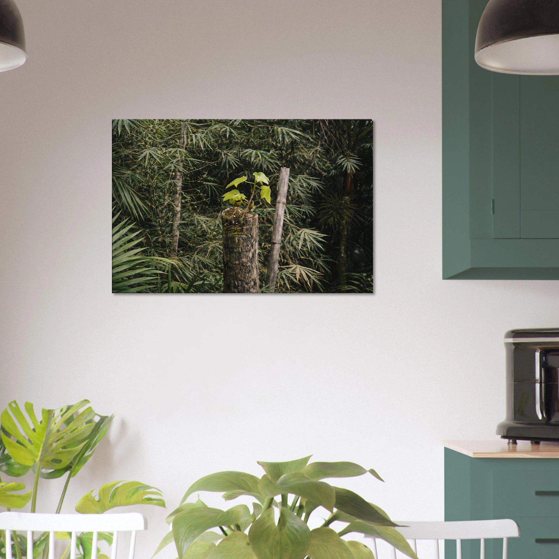 7c5c6995-266c-409f-8fbd-ce860d544b37