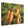 7c9284bc-97ac-4347-865d-7a6552b6d5cd