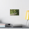 Tropical Road Walk Canvas — Couple with cat and dog in El Yunque - Scenic Nature Wall Art