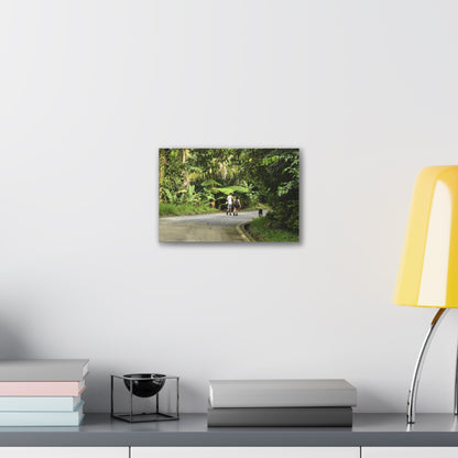 Tropical Road Walk Canvas — Couple with cat and dog in El Yunque - Scenic Nature Wall Art