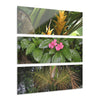 Common Plants and Flowers El Yunque RainForest - Heliconias, MirameLinda, Sierra Palm seeds - Nikon D850 - Tropical Rivers Triptych Acrylic Print – Panoramic Jungle Wall Aert