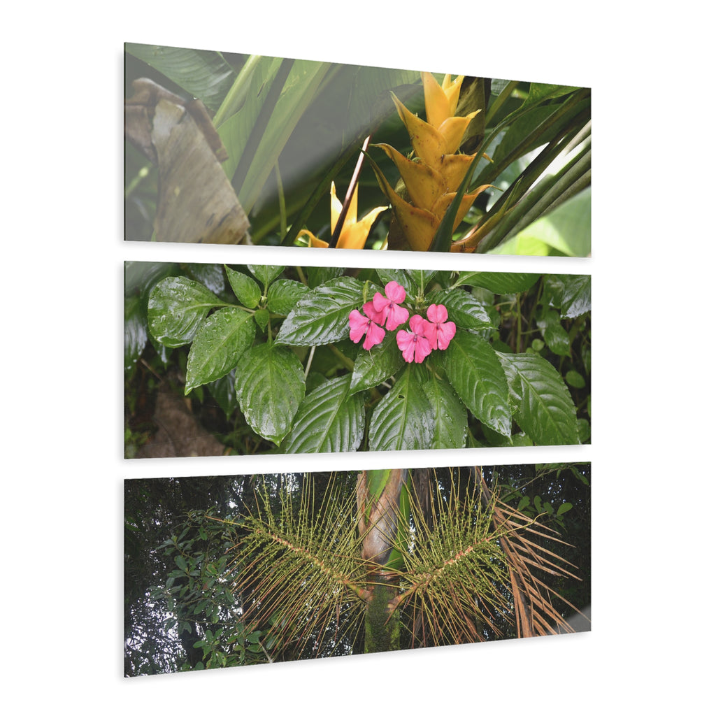 Common Plants and Flowers El Yunque RainForest - Heliconias, MirameLinda, Sierra Palm seeds - Nikon D850 - Tropical Rivers Triptych Acrylic Print – Panoramic Jungle Wall Aert