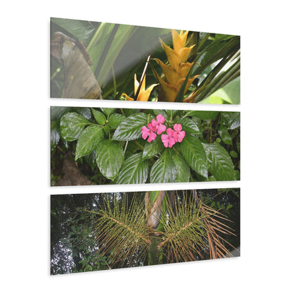 Common Plants and Flowers El Yunque RainForest - Heliconias, MirameLinda, Sierra Palm seeds - Nikon D850 - Tropical Rivers Triptych Acrylic Print – Panoramic Jungle Wall Aert
