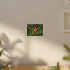 Red Tropical Bromeliad Canvas Wall Art — Matte Stretched Botanical Print