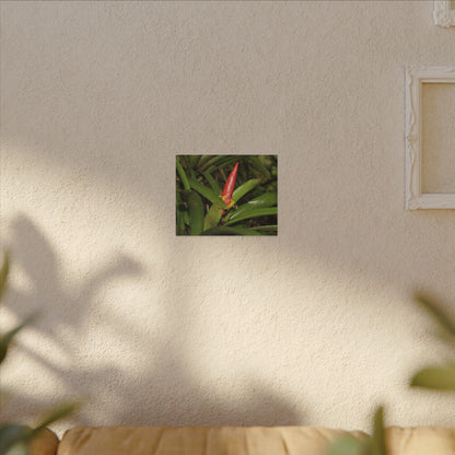 Red Tropical Bromeliad Canvas Wall Art — Matte Stretched Botanical Print