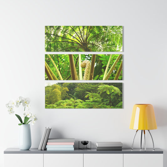 The Ancient FERN Plant - El Yunque Rainforest - Nikon D850 - Triptych Acrylic Print – Forest Creek Landscape Wall Art
