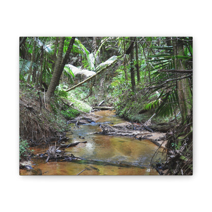 Deep Forest Explorations - El Yunque Holy Spirit River - Nikon D850 - Tropical Creek Canvas Print —  Jungle Stream Wall Art for Nature Lovers