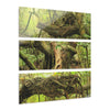 El Yunque Rainforest - Truly Weird Trees of the Deep Forest - Nikon D850 - Triptych Acrylic Print – Forest Creek Landscape Wall Art