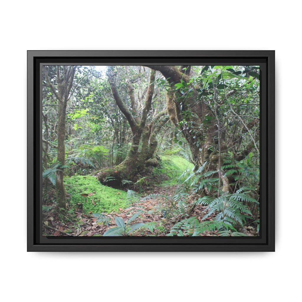 Tropical Vista Matte Canvas Framed Wall Art — Magic section of the remote Tradewinds Trail -  El Yunque rainforest PR