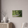 Tropical Road Walk Canvas — Couple with cat and dog in El Yunque - Scenic Nature Wall Art
