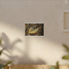 Tradewinds Trail - Fallen Colorful Leaf - Matte Canvas Print — Stretched Wall Art - El Yunque Rainforest - Puerto Rico - Deep forest explorations