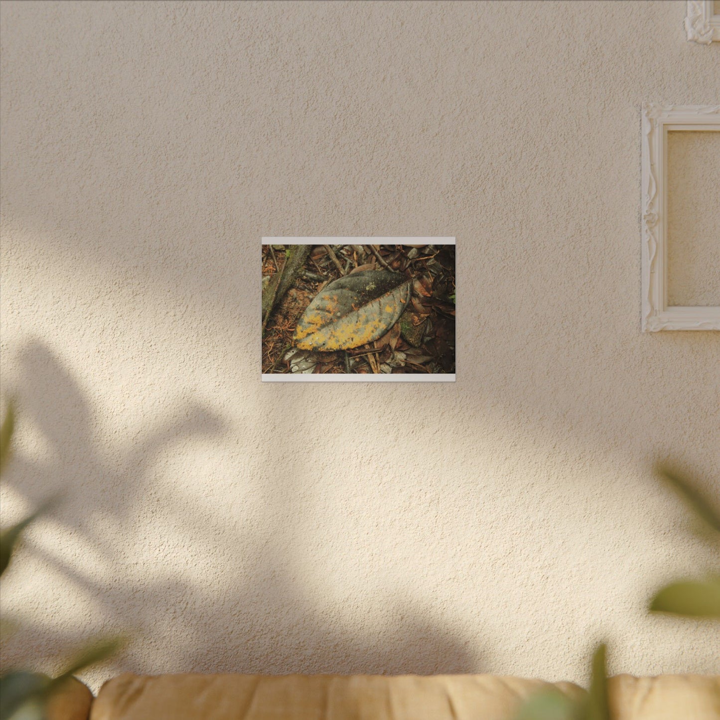 Tradewinds Trail - Fallen Colorful Leaf - Matte Canvas Print — Stretched Wall Art - El Yunque Rainforest - Puerto Rico - Deep forest explorations