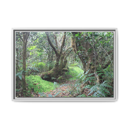 Tropical Vista Matte Canvas Framed Wall Art — Magic section of the remote Tradewinds Trail -  El Yunque rainforest PR