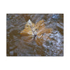 Yagrumo Leaf Floating — Matte Canvas Wall Art - Yagrumo leaf - white side - in a flooded Rio Sabana river - El Yunque Rainforest - Puerto Rico - Deep forest explorations