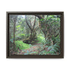 Tropical Vista Matte Canvas Framed Wall Art — Magic section of the remote Tradewinds Trail -  El Yunque rainforest PR