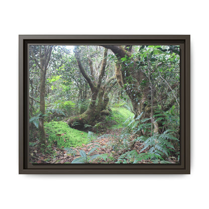 Tropical Vista Matte Canvas Framed Wall Art — Magic section of the remote Tradewinds Trail -  El Yunque rainforest PR